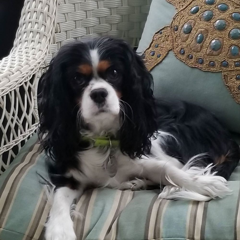 Meet your Posher, Karen